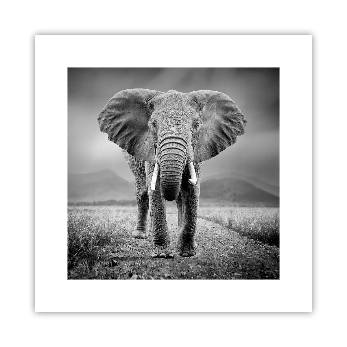 Poster - Welcoming of the Host - 30x30 cm