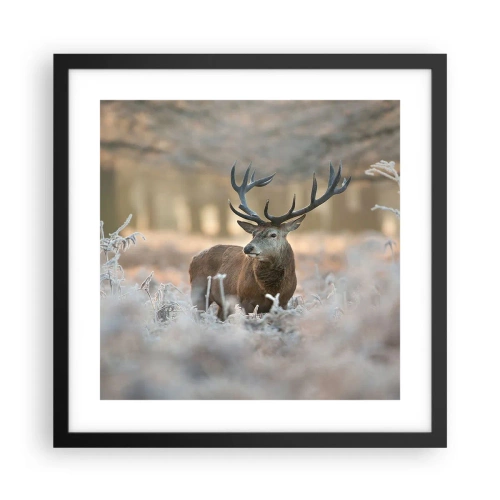 Poster in black frame - Chilly Morning - 40x40 cm
