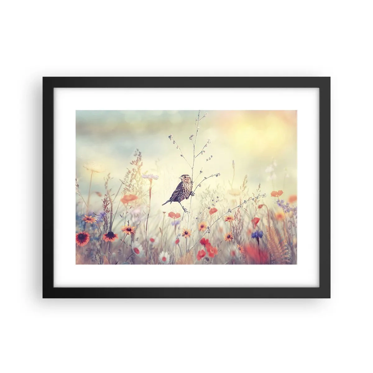 Poster in black frame - Bird Portrait with a Meadow in the Background - 40x30 cm