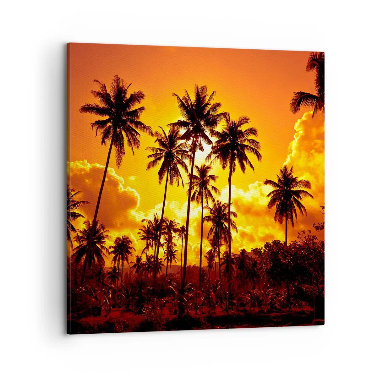 Canvas picture - Blazing Sun - 50x50 cm