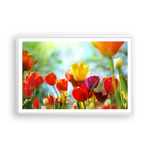 Poster in white frmae - All Colours of the Sun - 91x61 cm