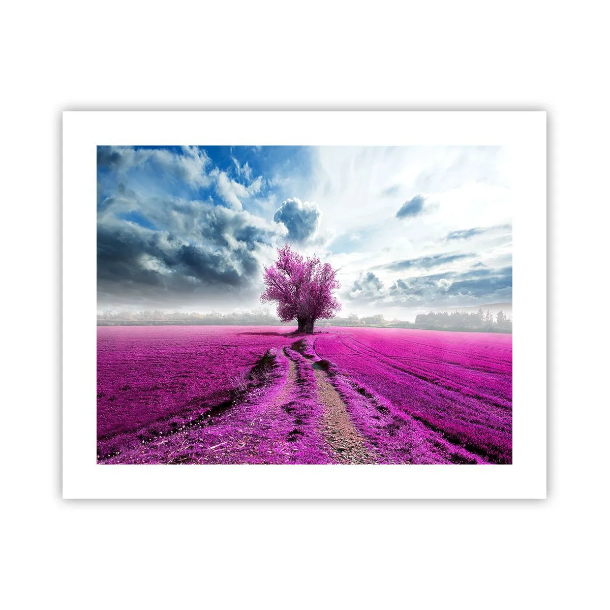 Poster - Heathland Charm - 50x40 cm