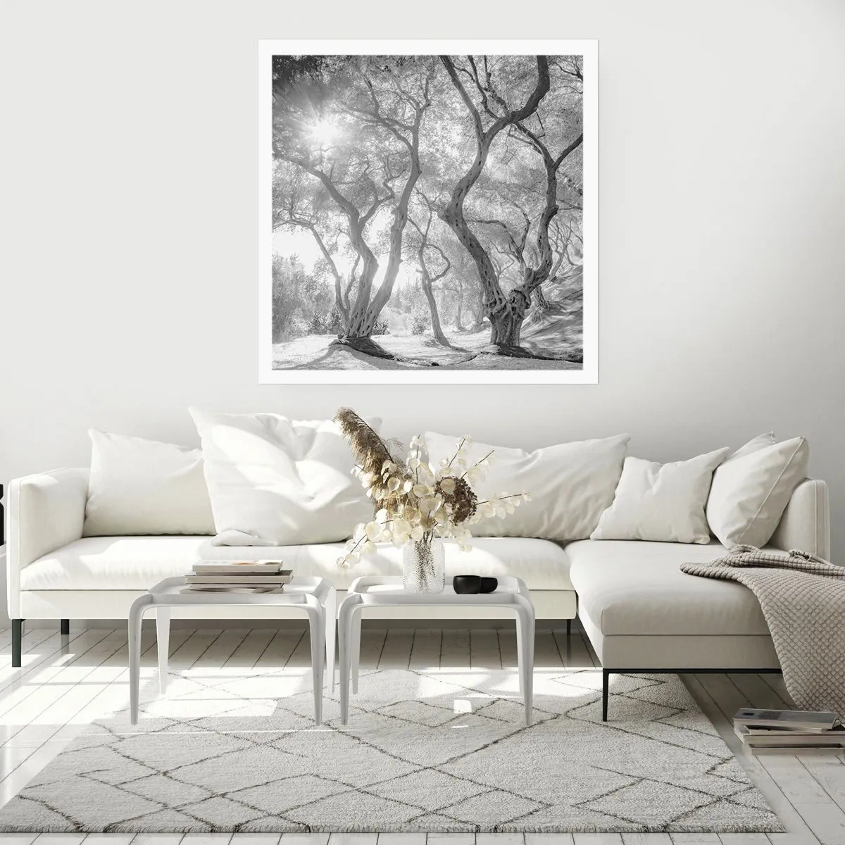 Poster - In an Olive Grove - 30x30 cm