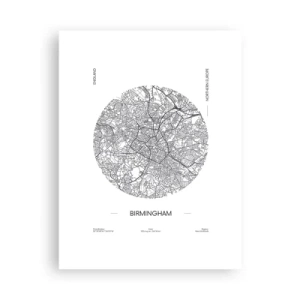 Poster - Anatomy of Birmingham - 30x40 cm