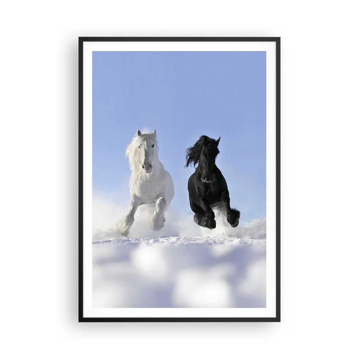 Poster in black frame - Black and White Gallop - 70x100 cm