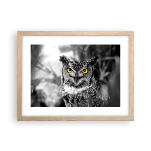 Poster in light oak frame - Nothing Can Hide - 40x30 cm