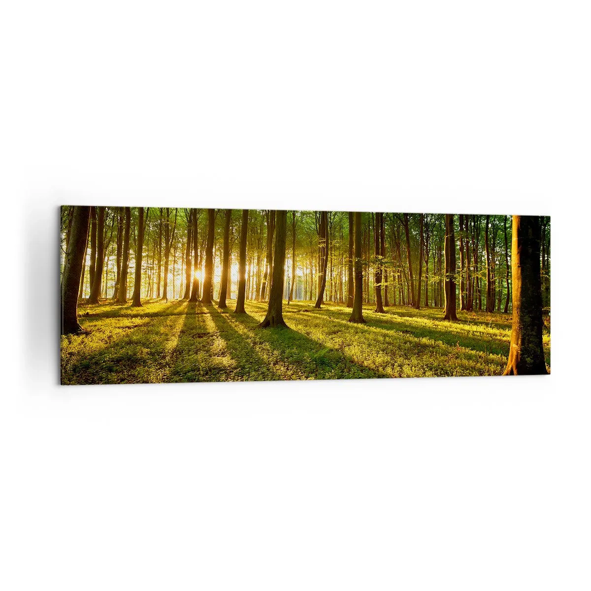 Canvas picture - Photography of All Springs - 160x50 cm