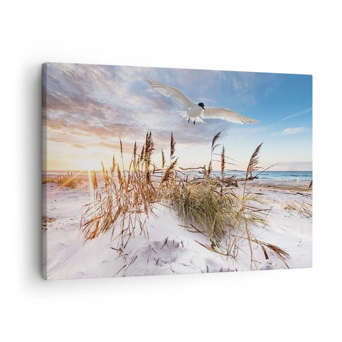 Canvas picture - Beach with seagulls flying at sunset - 70x50cm - Wind from the Sea - Modern wall decoration for the living room and bedroom ARTTOR