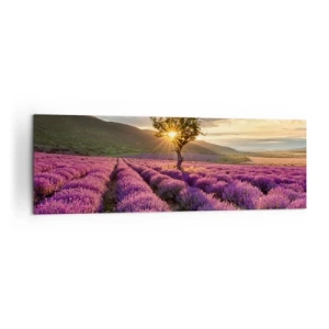 Canvas picture - Lilac Coloured Aroma - 160x50 cm