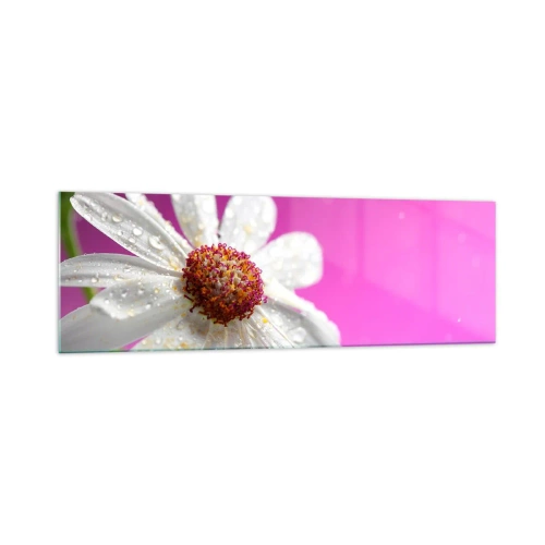 Glass picture - Modest in Its Beauty - 160x50 cm