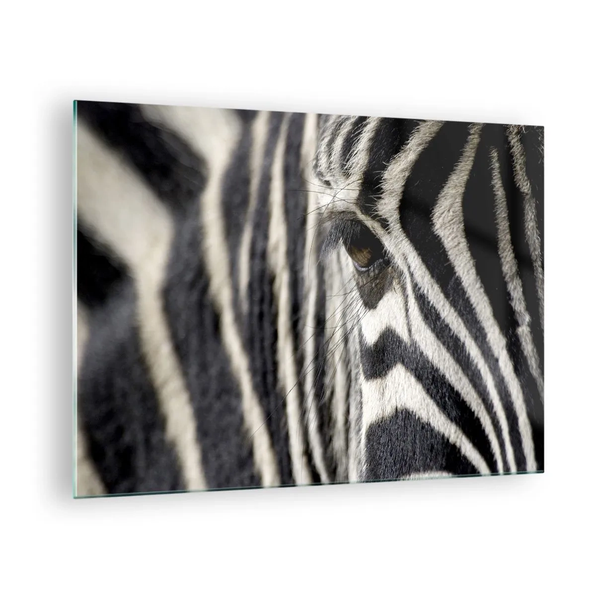 Glass picture - Close-up of a zebra's eye and black and white stripes - 70x50cm - Striped Portrait - Modern wall decoration for the living room and bedroom ARTTOR