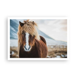 Poster - Can You Feel the Freedom? - 100x70 cm