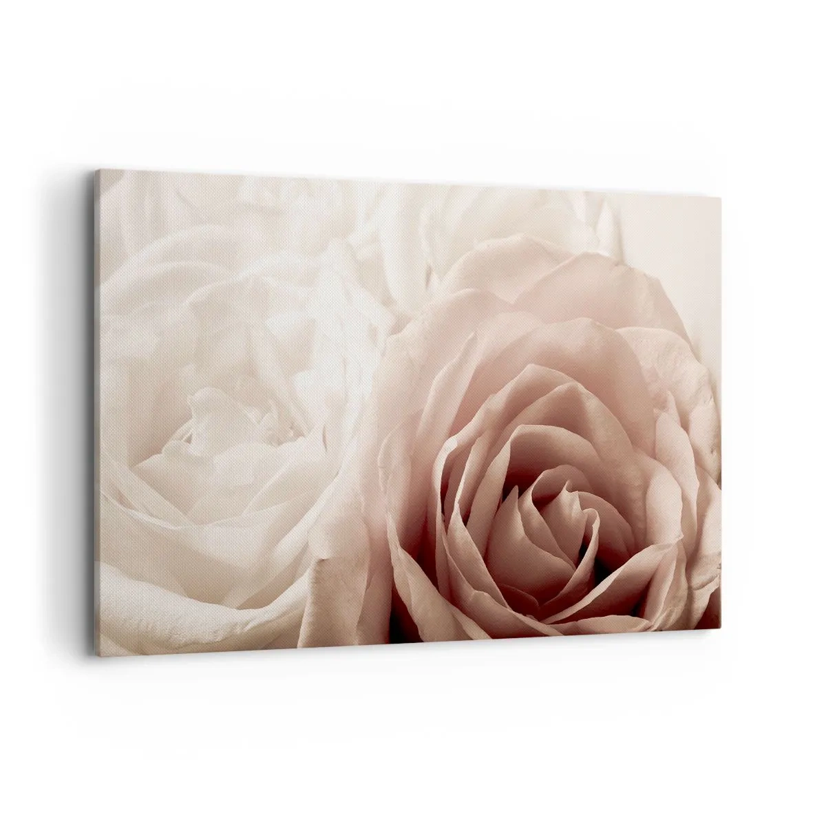 Canvas picture - In the Heart of a Rose - 120x80 cm