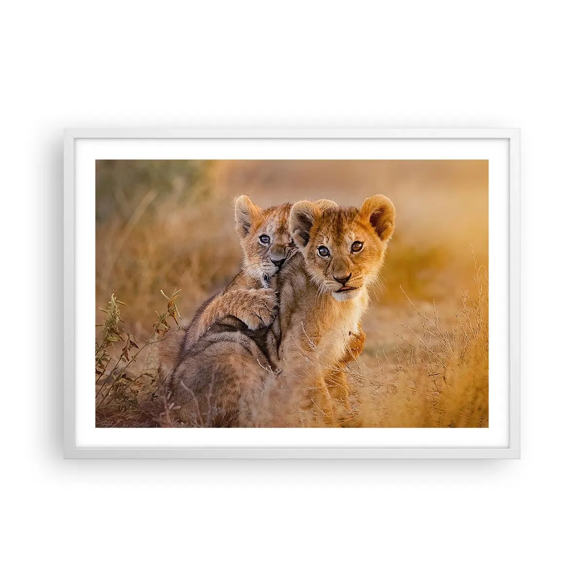 Poster in white frmae - Do Not Disturb! We Are Playing - 70x50 cm