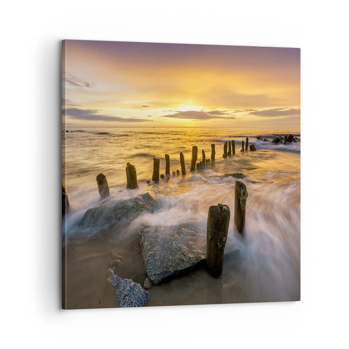 Canvas picture - Raw Beauty of the Baltic Sea - 60x60 cm