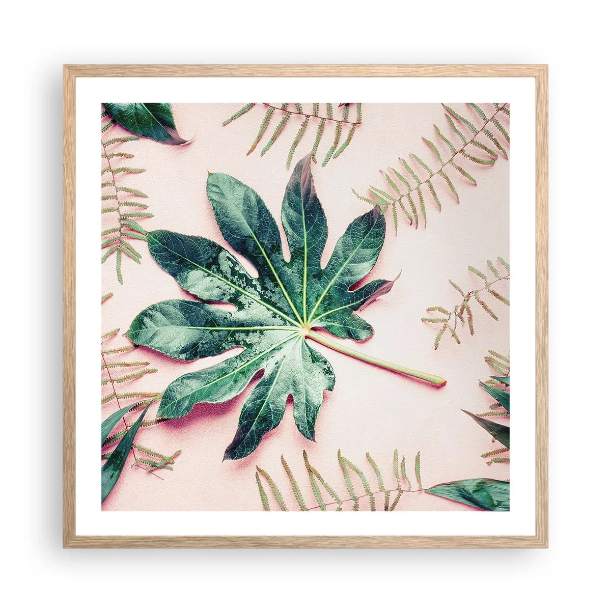 Poster in light oak frame - Study in Green on Pink Background - 60x60 cm