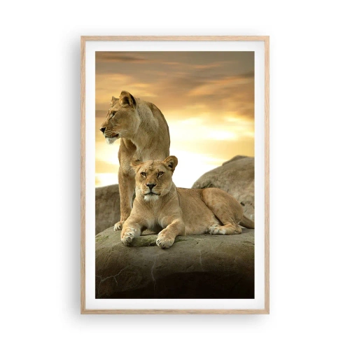 Poster in light oak frame - Royal Majesty - 61x91 cm