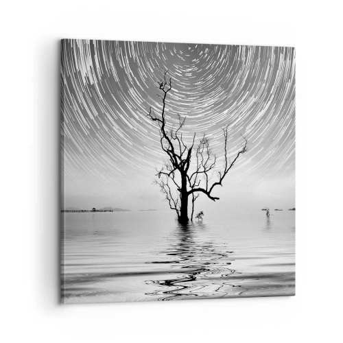 Canvas picture - Symphony of Nature - 60x60 cm