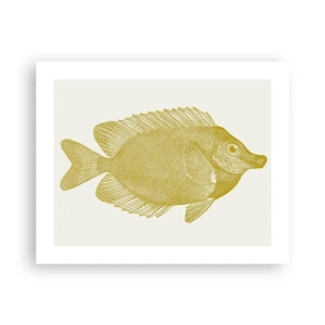 Poster - Just a Fish - 50x40 cm