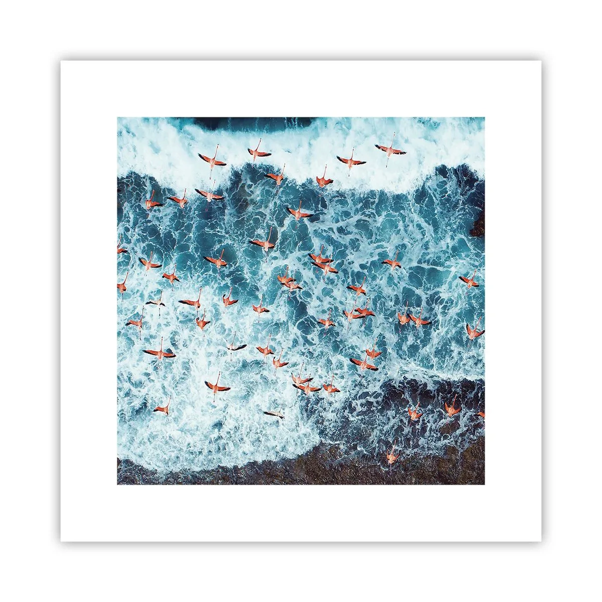 Poster - Seaside Parade - 30x30 cm