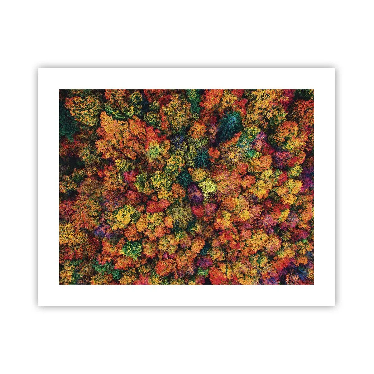 Poster - Bouquet of Autumn Flowers - 50x40 cm