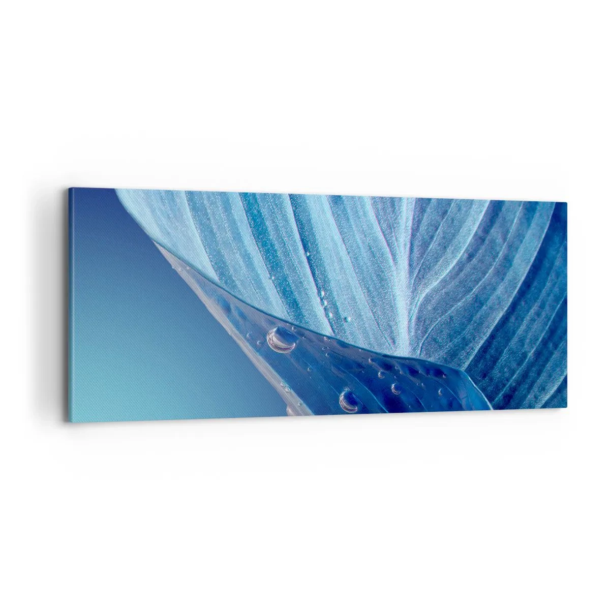 Canvas picture - Hidden Drops of Blue - 100x40 cm