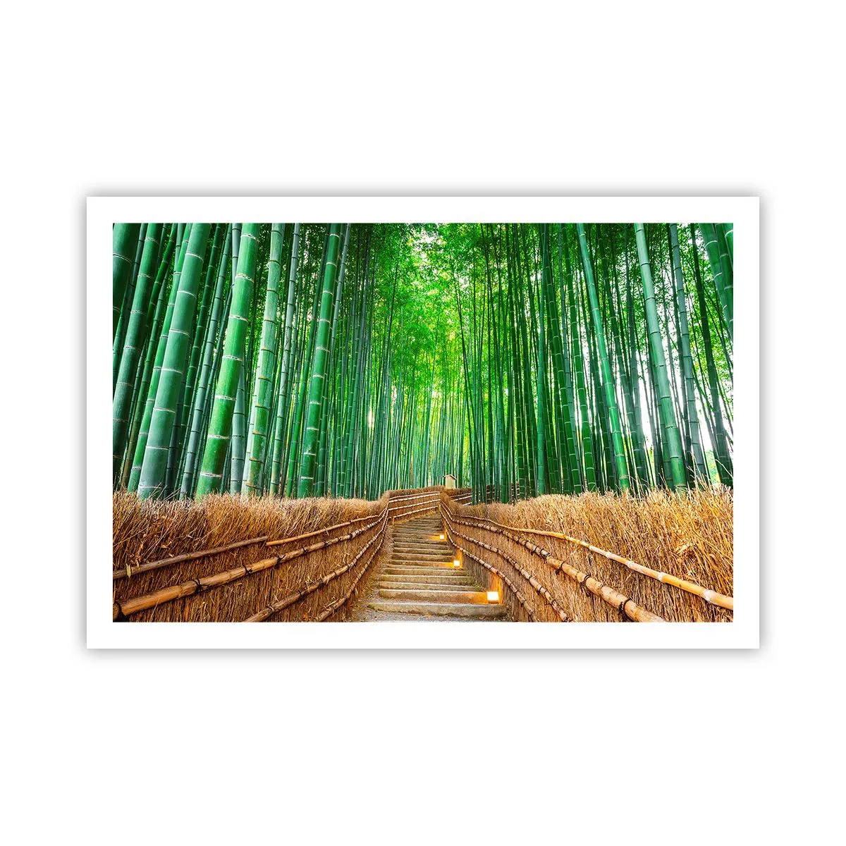 Poster - Essence of Asian Nature - 91x61 cm