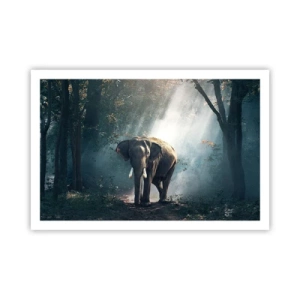 Poster - Quiet Stroll - 91x61 cm