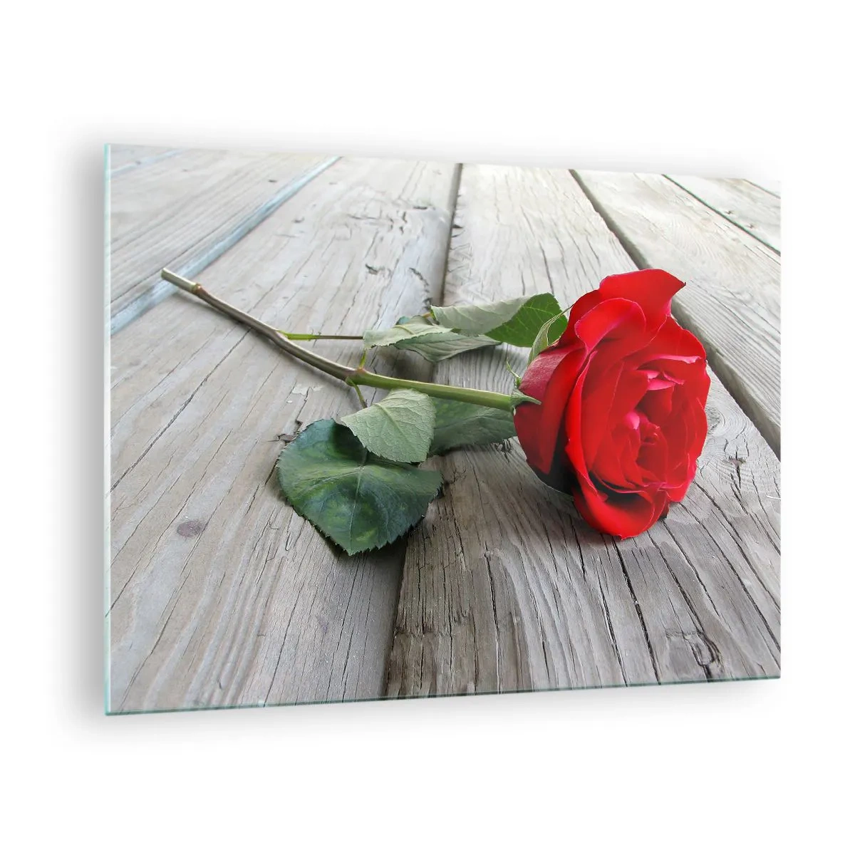 Glass picture - Red rose on a wooden board - 70x50cm - A Study in Scarlet - Modern wall decoration for the living room and bedroom ARTTOR