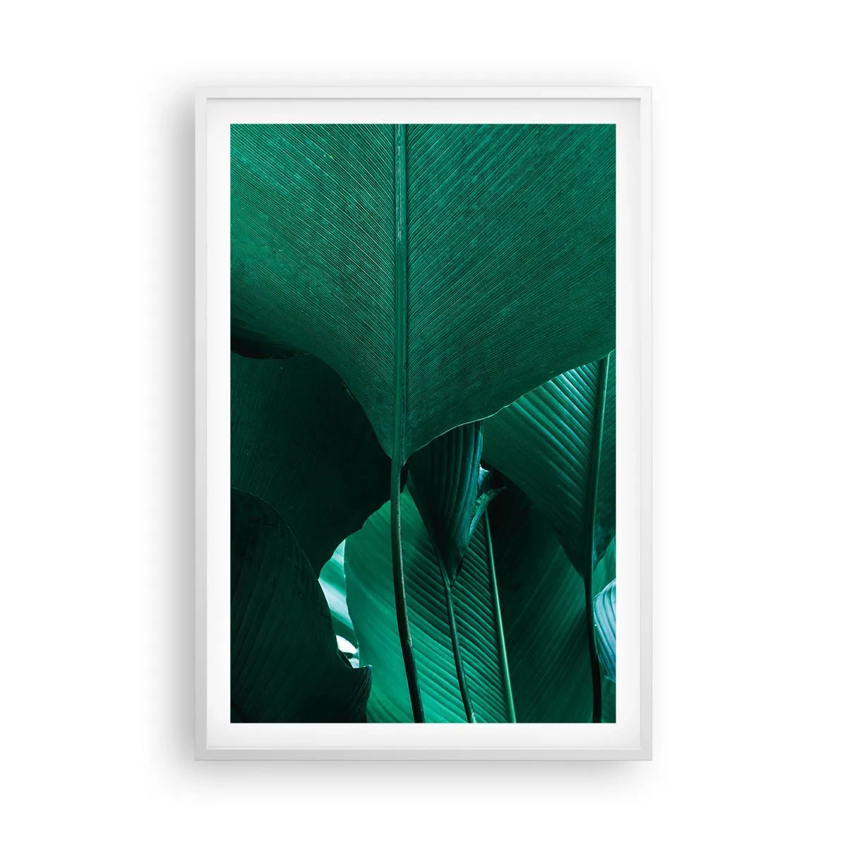 Poster in white frmae - Turned towards Light - 61x91 cm