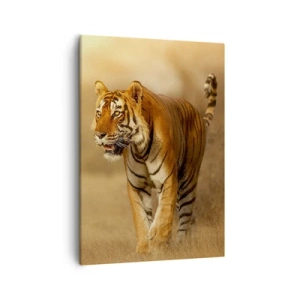 Canvas picture - Before Attack - 50x70 cm