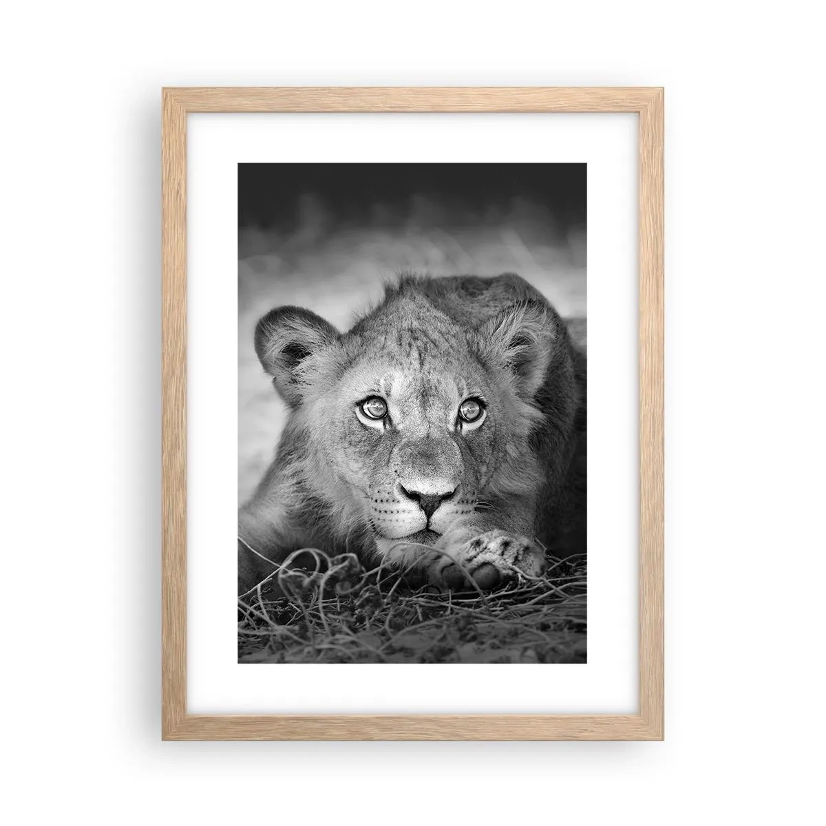Poster in light oak frame - Royal Puppy - 30x40 cm