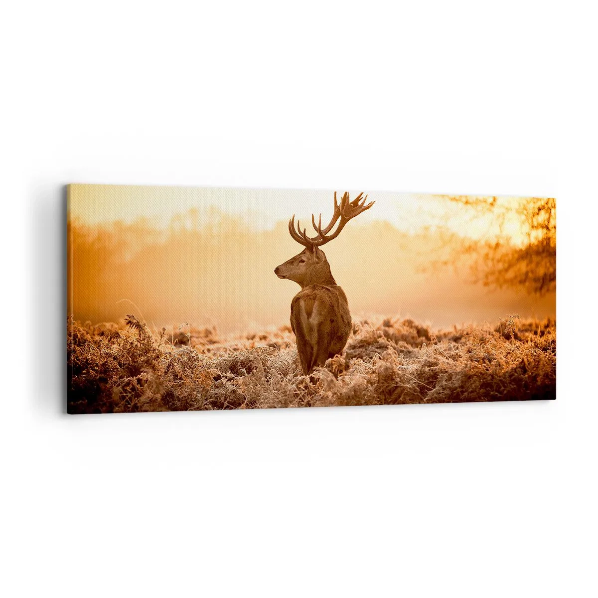 Canvas picture - Master of the Moor - 120x50 cm