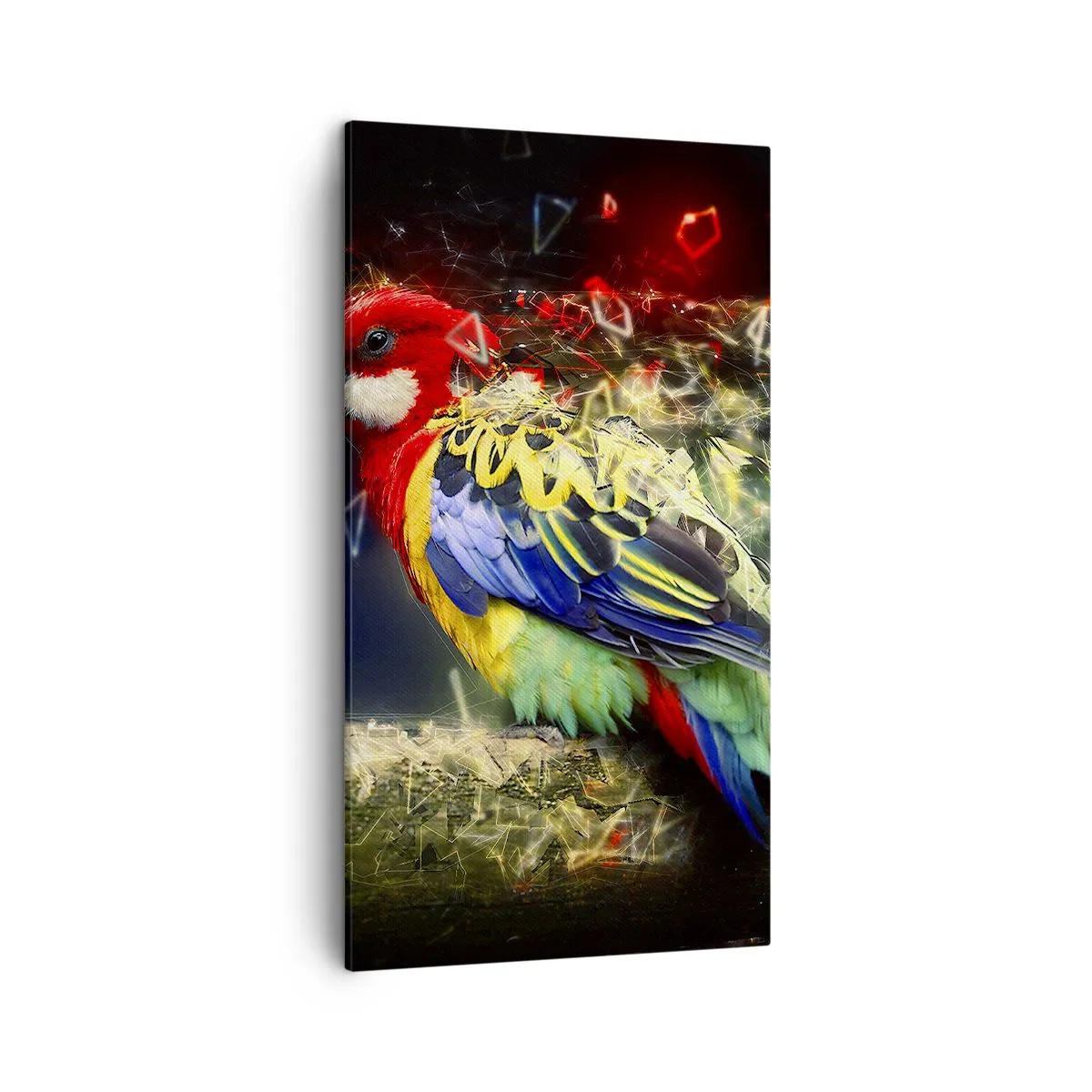 Canvas picture - Messenger of Light - 45x80 cm
