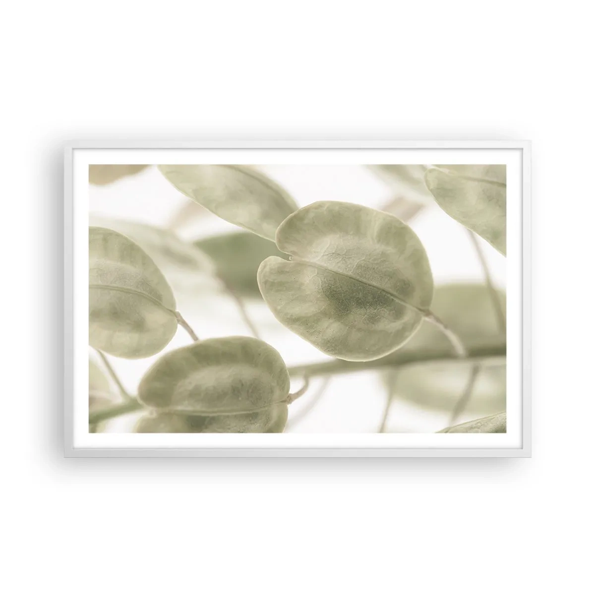 Poster in white frmae - In the Beginning There Were Leaves… - 91x61 cm