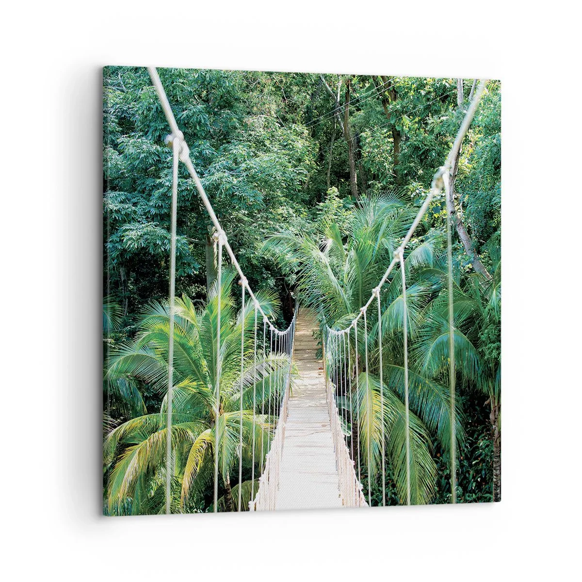 Canvas picture - Welcome to the Jungle! - 50x50 cm