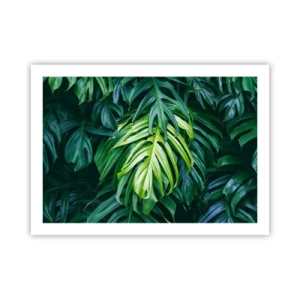 Poster - Immerse Yourself in Freshness - 70x50 cm