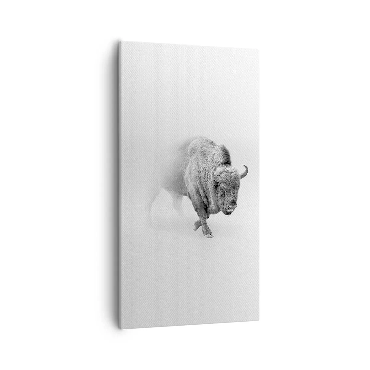 Canvas picture - King of the Prairie - 55x100 cm