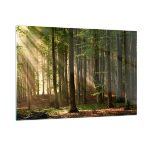 Glass picture - Beaming in Spring Morning - 120x80 cm