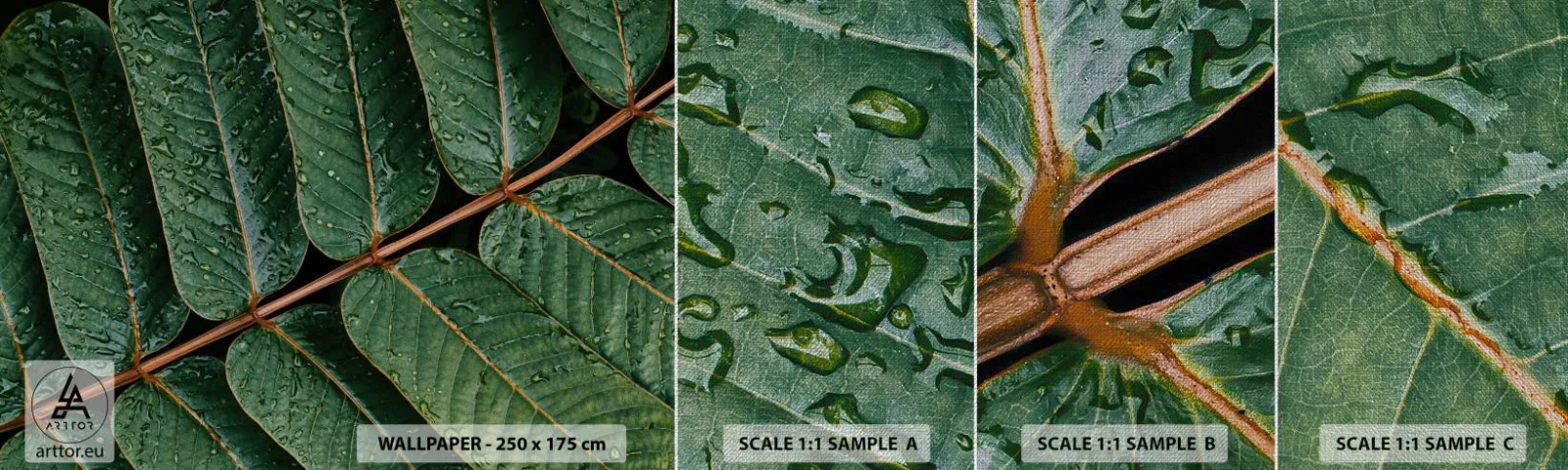 Photo Wallpaper Sample Premium Canvas - In Green Rhythm - Green leaves, Tropical Plant, Piece - 100x30 cm