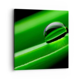 Canvas picture - Life from a Close-Up - 40x40 cm