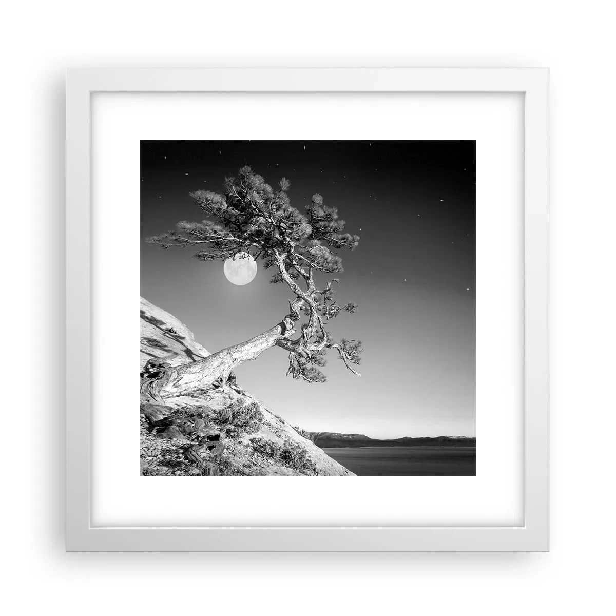 Poster in white frmae - Winning Warrior - 30x30 cm