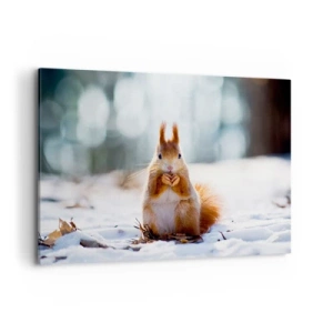 Canvas picture - What Are You Looking at? - 100x70 cm