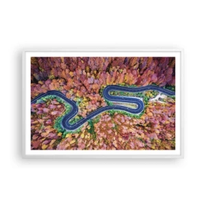 Poster in white frmae - Winding Path through a Forest - 91x61 cm