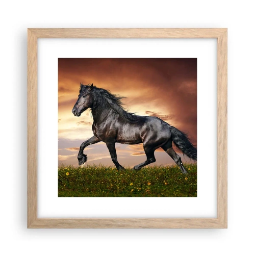 Poster in light oak frame - Black Prince - 30x30 cm