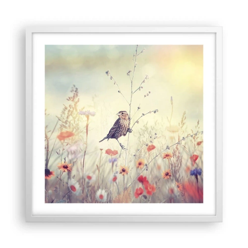 Poster in white frmae - Bird Portrait with a Meadow in the Background - 50x50 cm