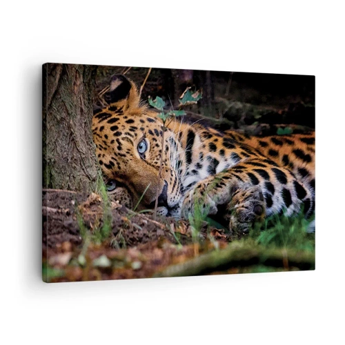 Canvas picture - A leopard lying in the shade of trees - 70x50cm - Trust Me - Modern wall decoration for the living room and bedroom ARTTOR