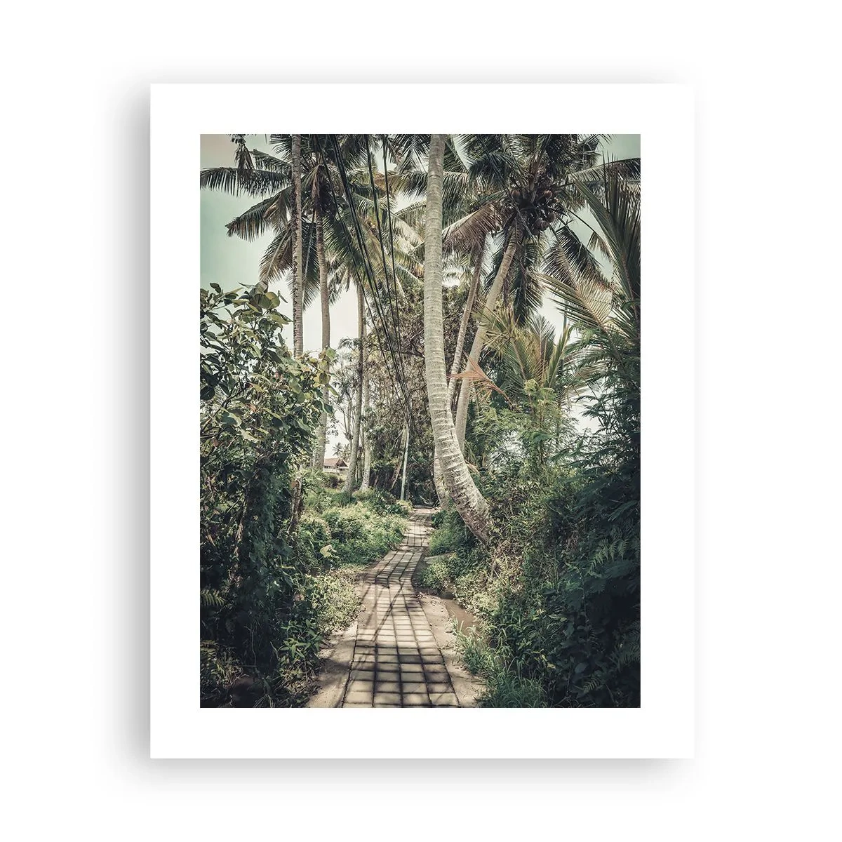 Poster - Palmtree Alley - 40x50 cm