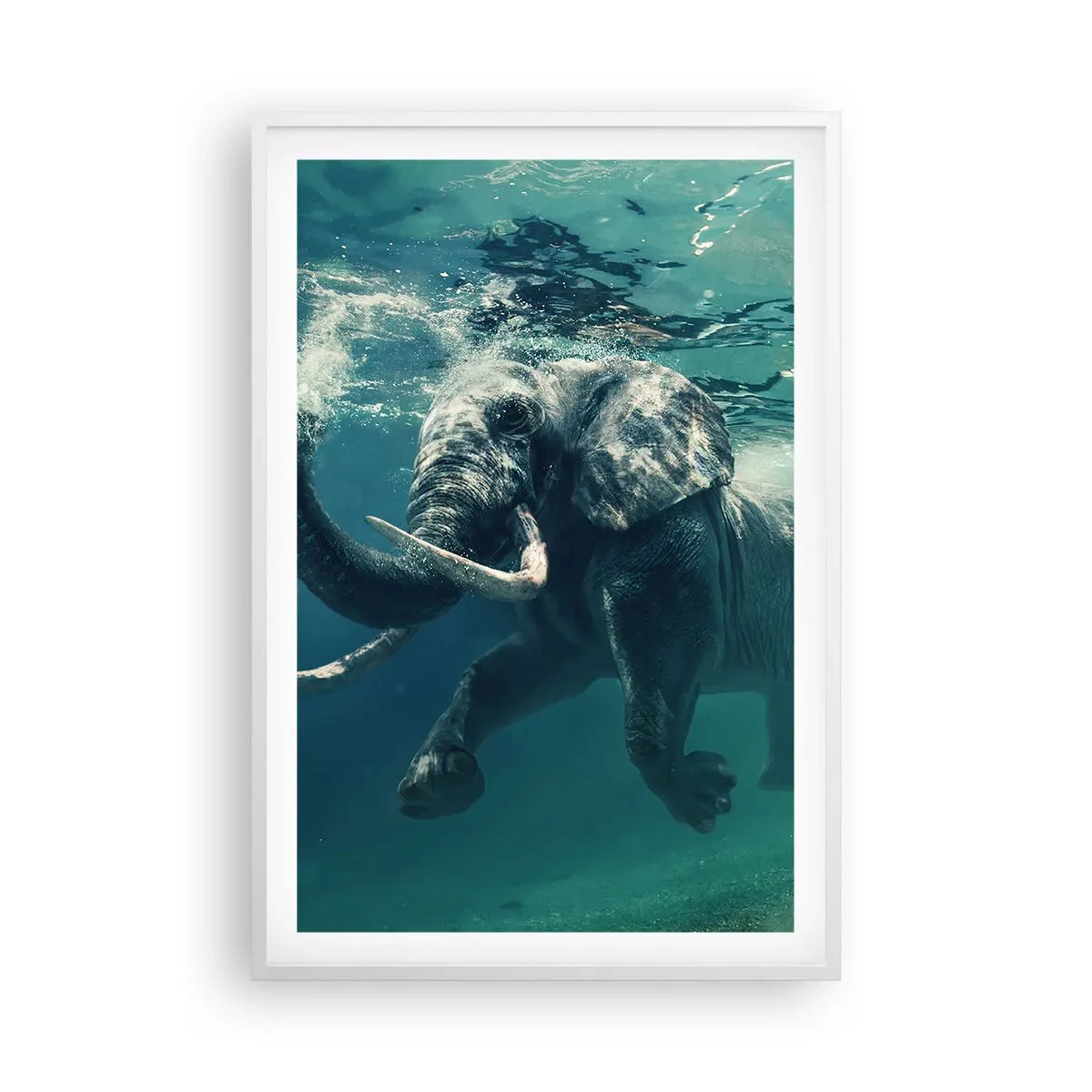 Poster in white frmae - Everyone Likes to Swim - 61x91 cm
