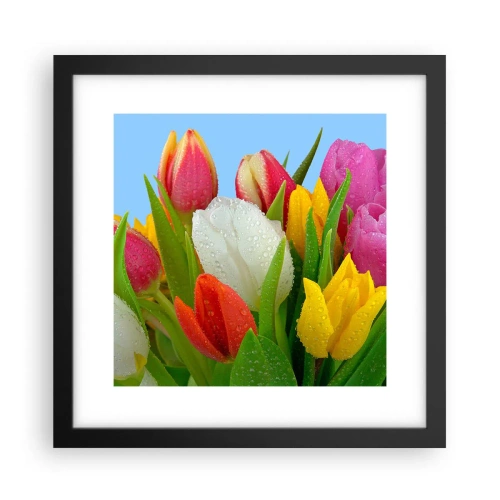 Poster in black frame - Floral Rainbow in Dew Drops - 30x30 cm